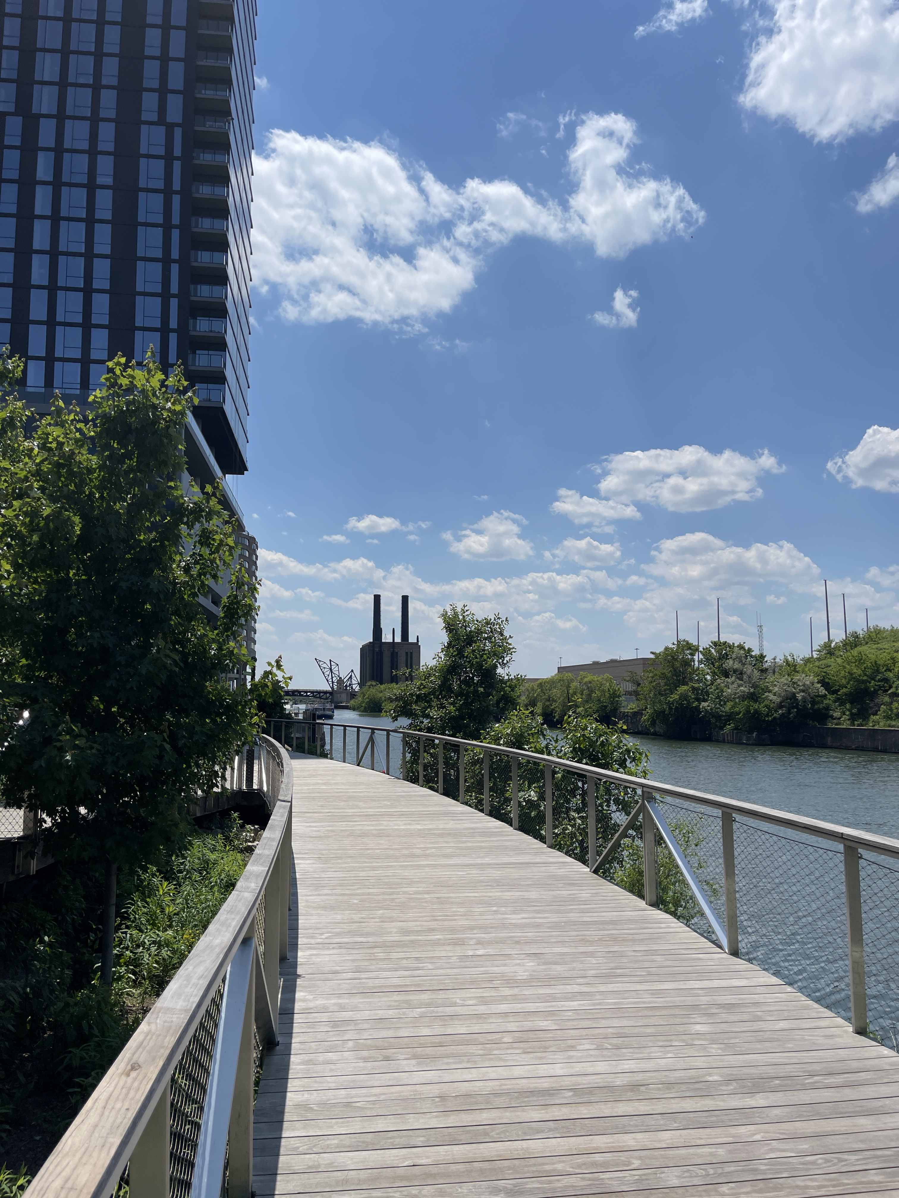 boardwalk plant